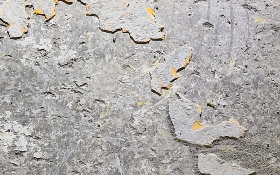 Eliminarea vopselei care se exfoliază.